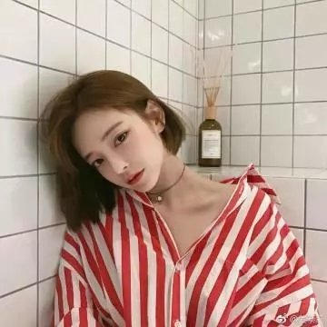 白山新歌